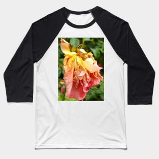 Ball Gown Dead Rose, yellow orange Baseball T-Shirt